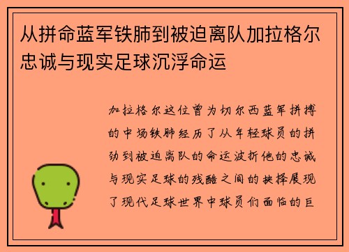 从拼命蓝军铁肺到被迫离队加拉格尔忠诚与现实足球沉浮命运 从拼命蓝军铁肺到被迫离队加拉格尔忠诚与现实足球沉浮命运
